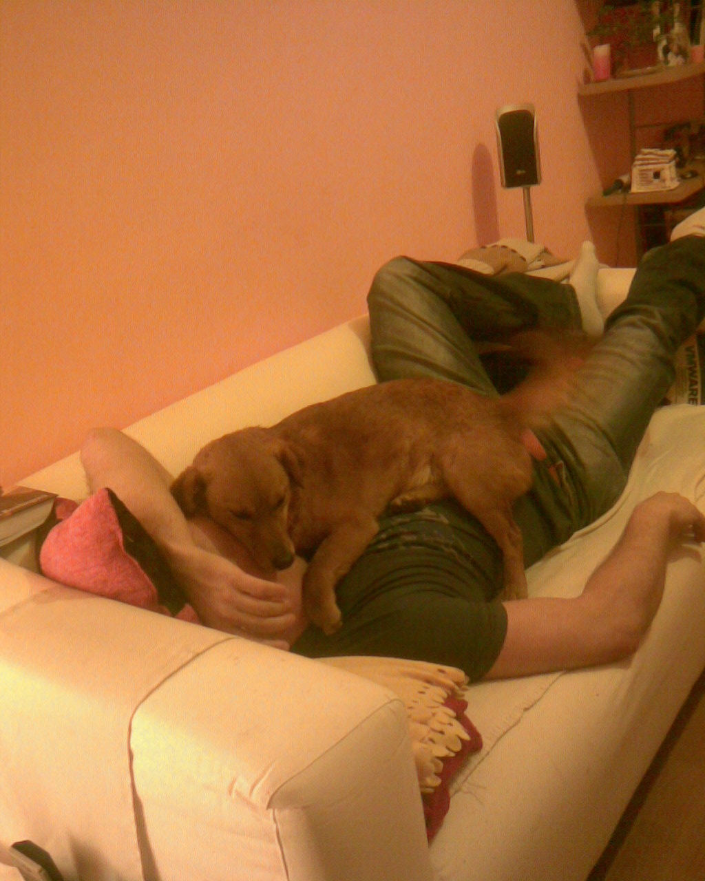 Obraz013.jpg